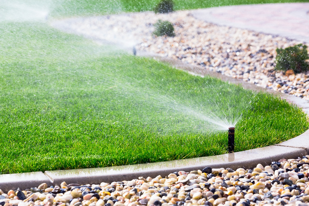 Reticulated lawn and garden bed, the kind of finished turf and planting Transforming Homes and Gardens delivers